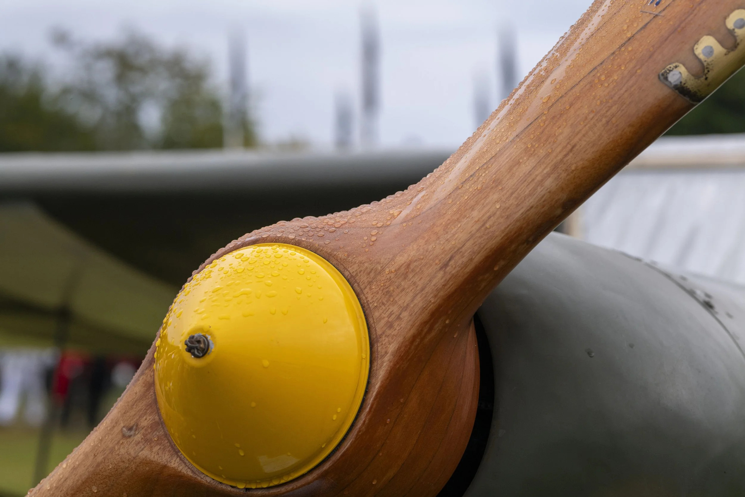 Goodwood Revival 2024 Car Photography