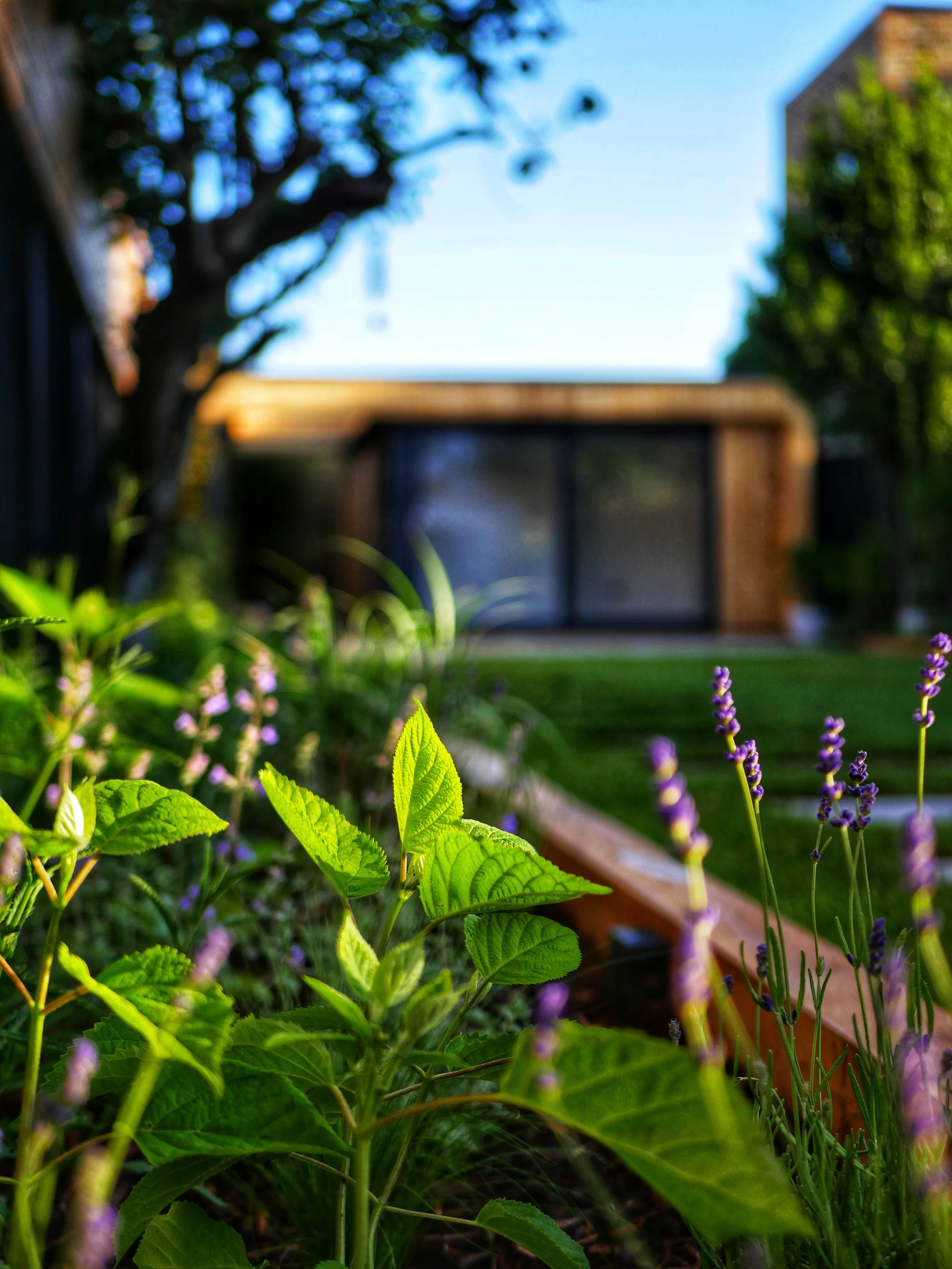 Garden Close Up Garden Office West Sussex