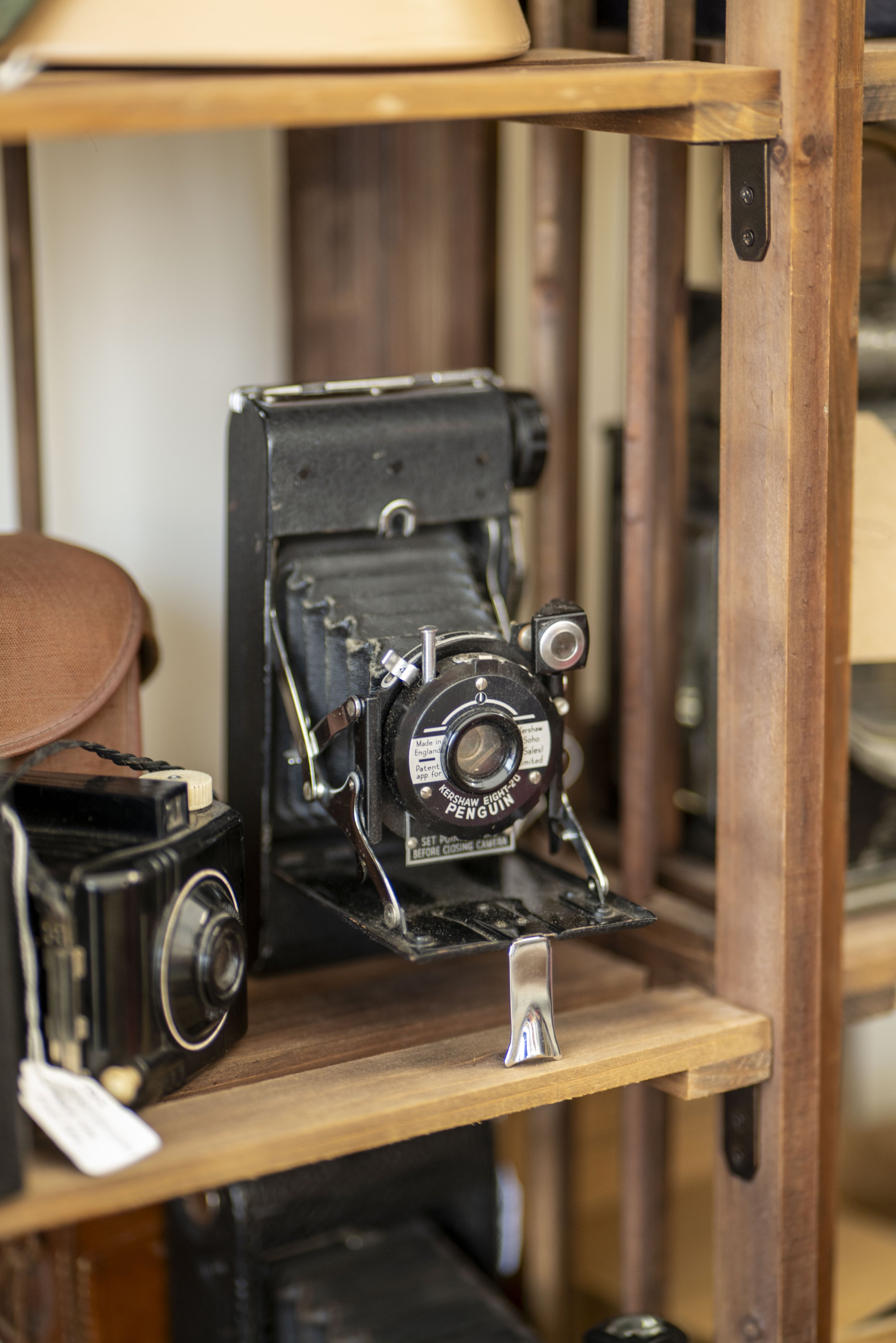Goodwood Revival 2024 Car Photography