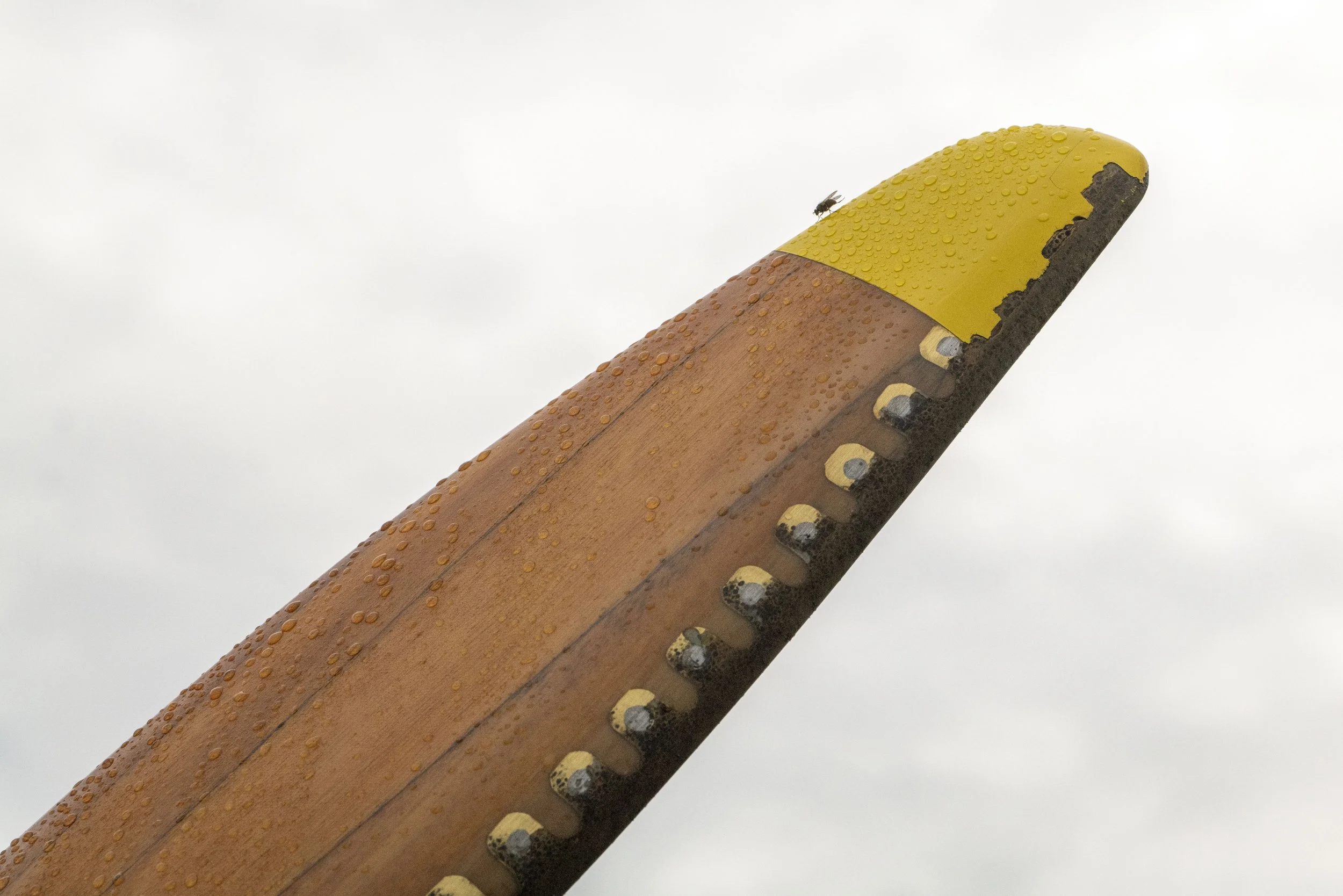 Goodwood Revival 2024 Car Photography