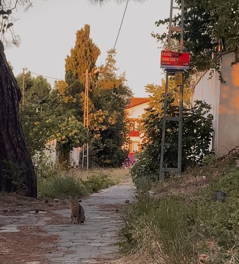 HYMNES OF THE STREET NO. 38