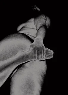 THE SEXUAL POLITICS OF MEAT
