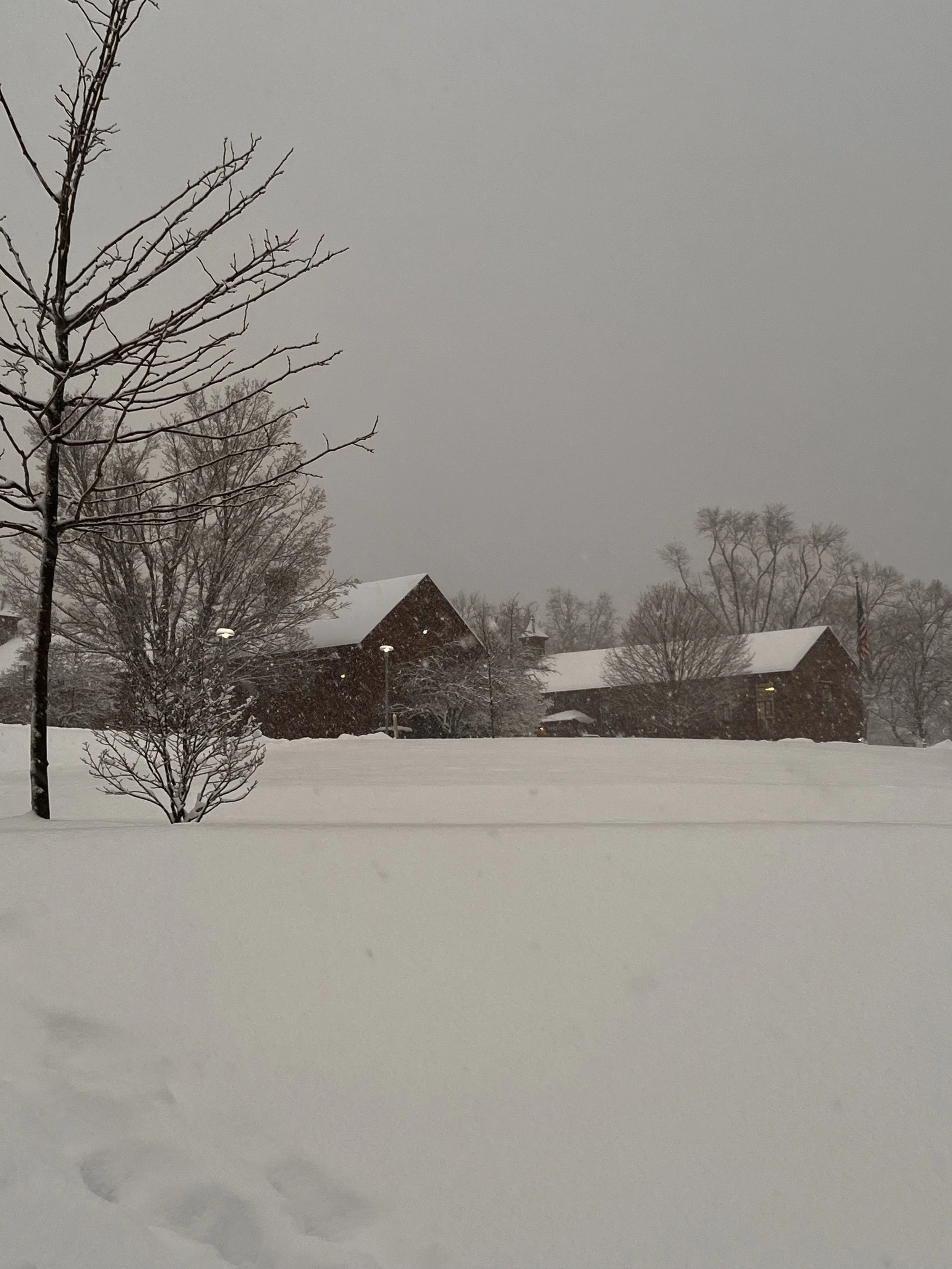 THE SECOND ARTICLE OF FAITH, SIMONE WEIL, MY FIRST PRAYERS