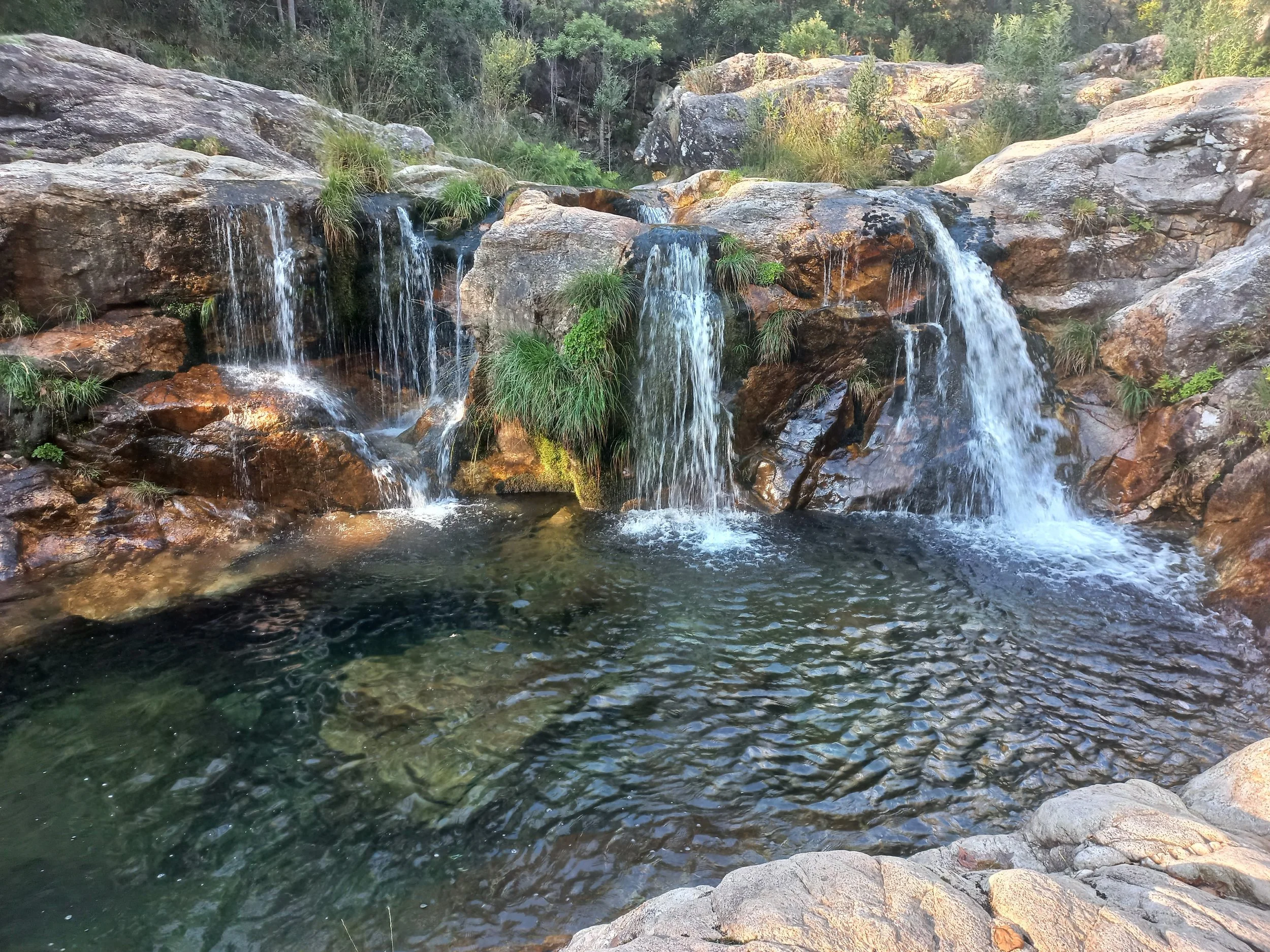 FOR THE FIRST TIME, AGAIN