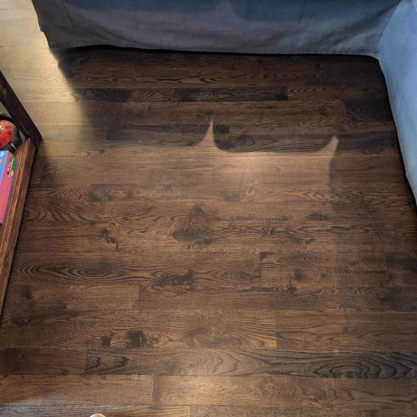If you&rsquo;ve got kids or dogs or a combination of both, chances are that under your coffee table and couches, this is what you&rsquo;ll find! Just like the rest of your floor, spaces under furniture should be cleaned and beautiful. 

What&rsquo;s 