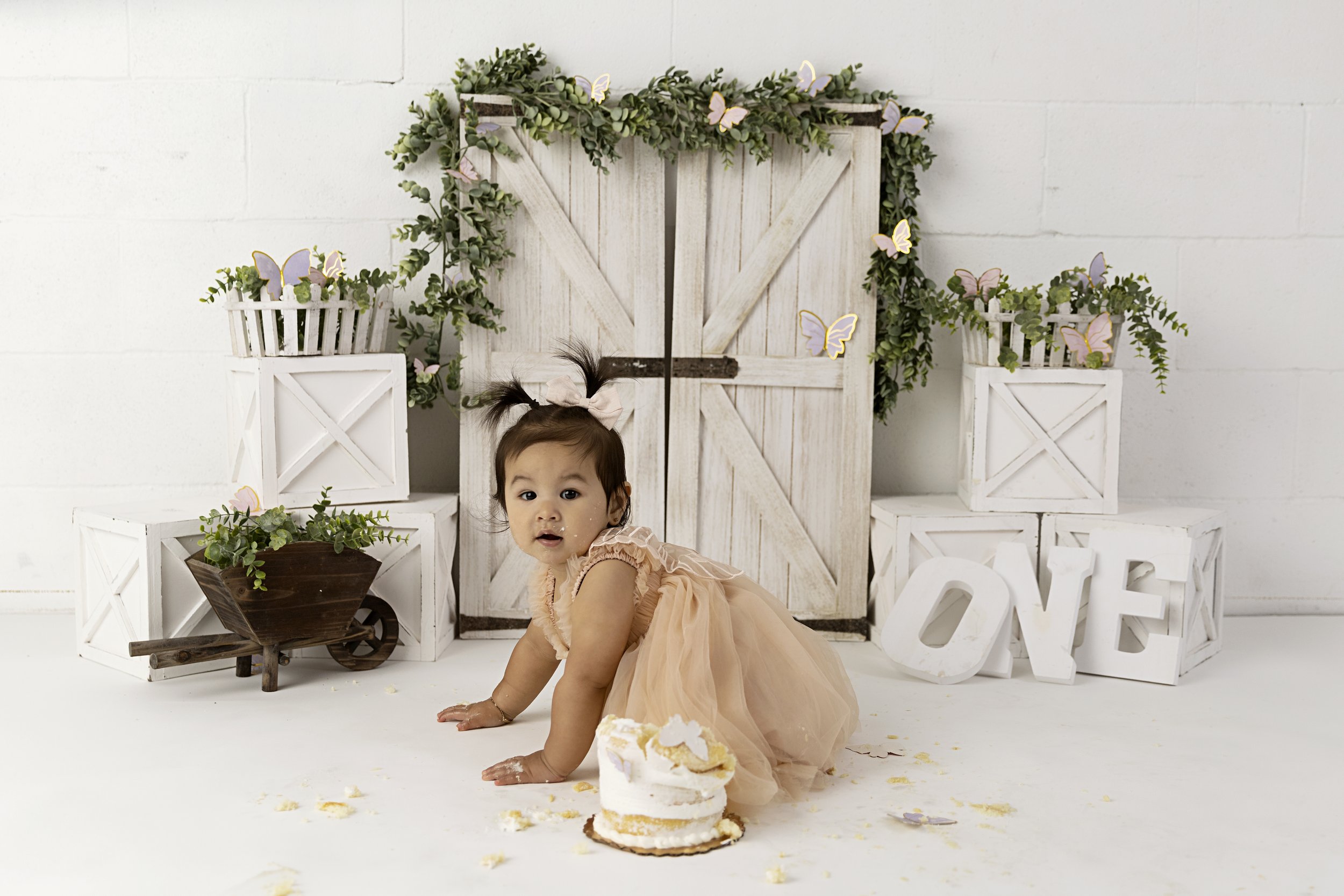 Isabel: Butterfly Cake Smash