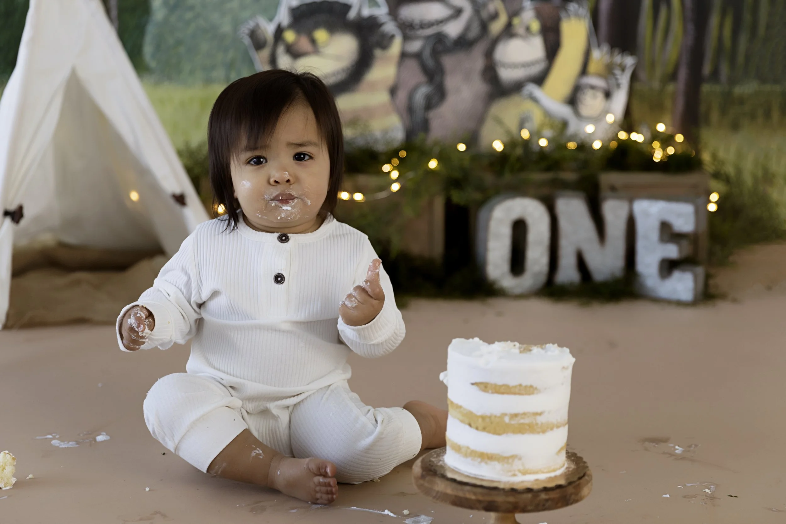 “Where the Wild Things Are” - Custom Cake Smash