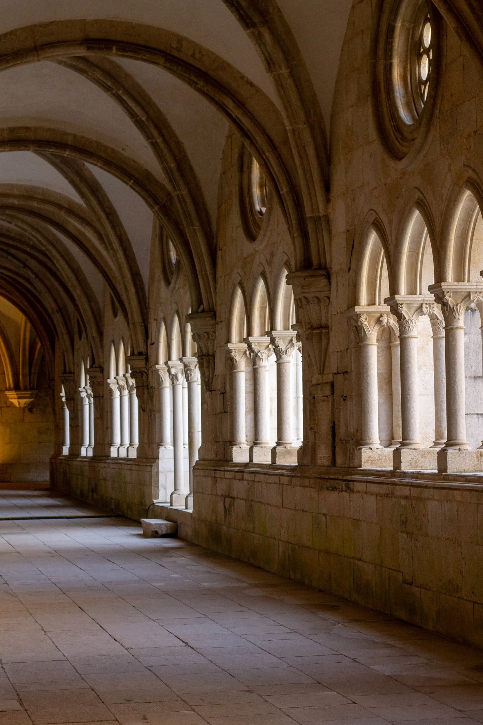 Spark: Learning Stability and Rootedness through a Community of Monks