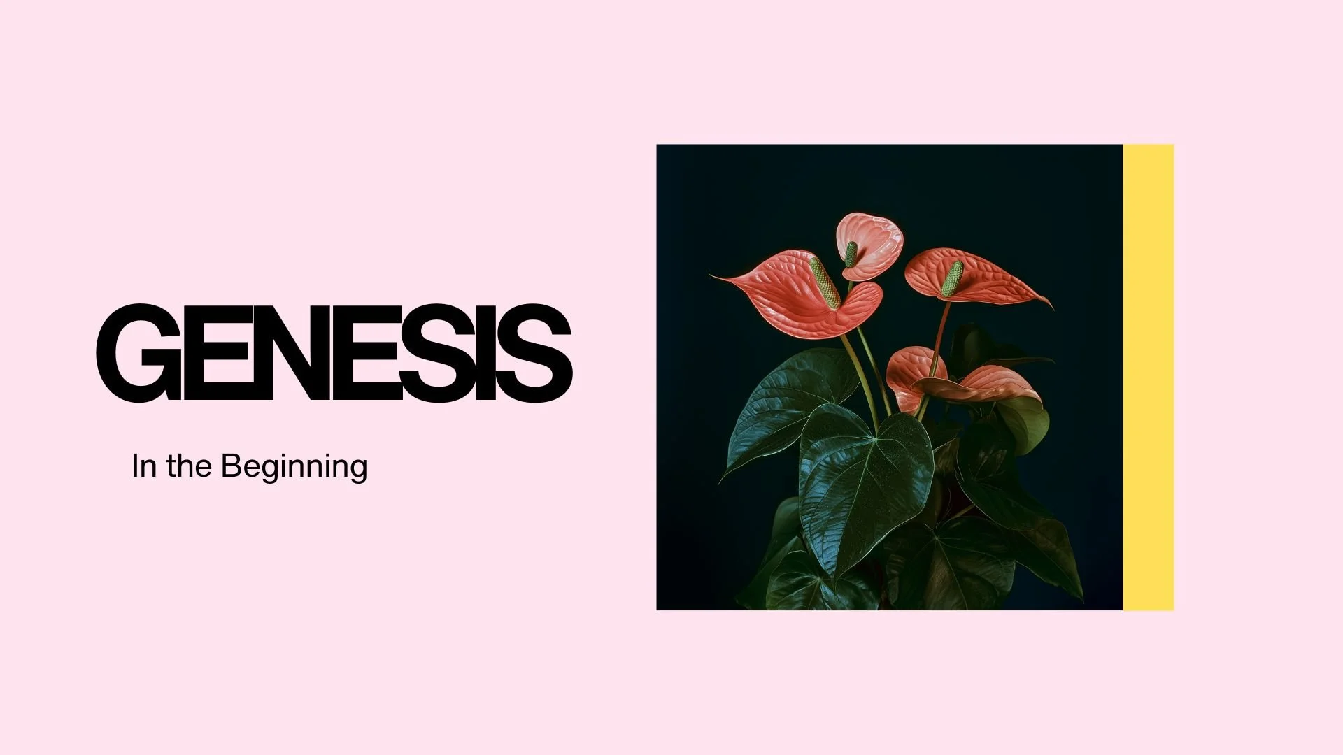 Genesis: in the beginning - guide