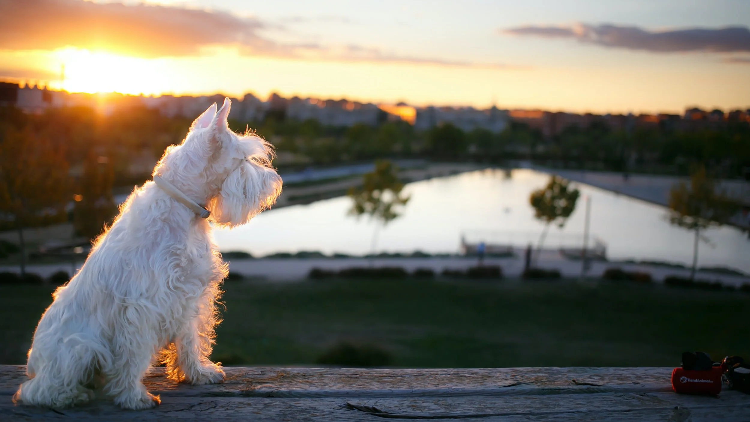 Behavior Change Requires Environment Change