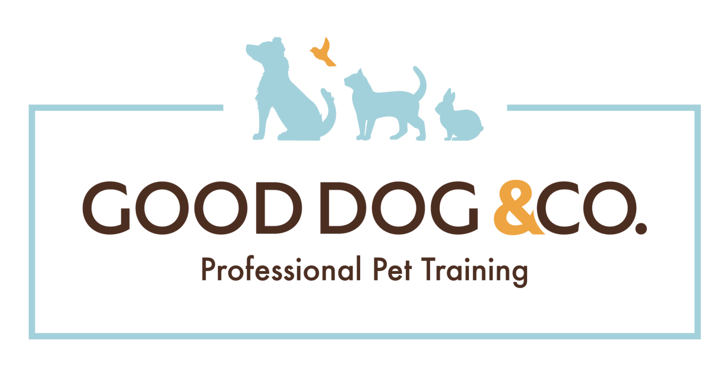 Good Dog &amp; Co. | Professional Pet Training