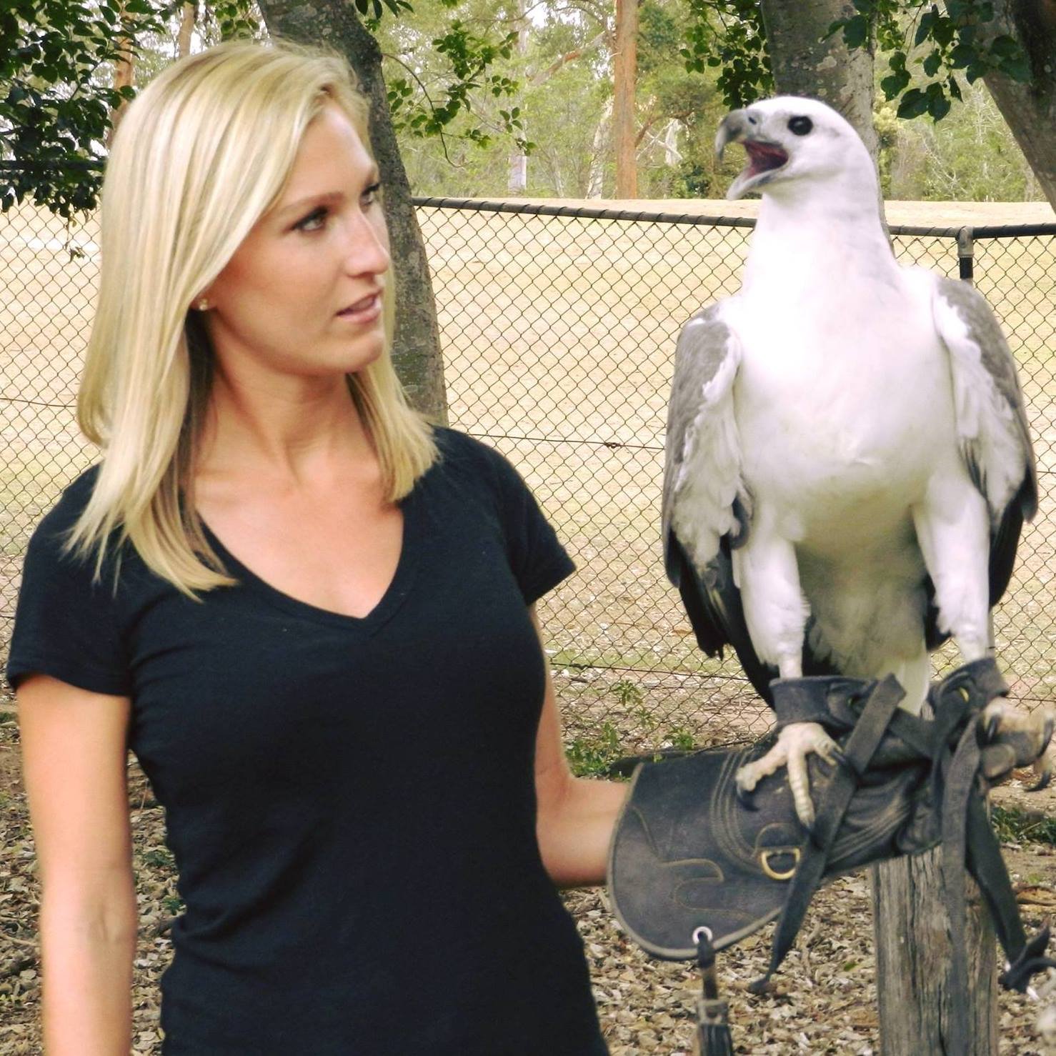 Emily Bird_Glove.jpg