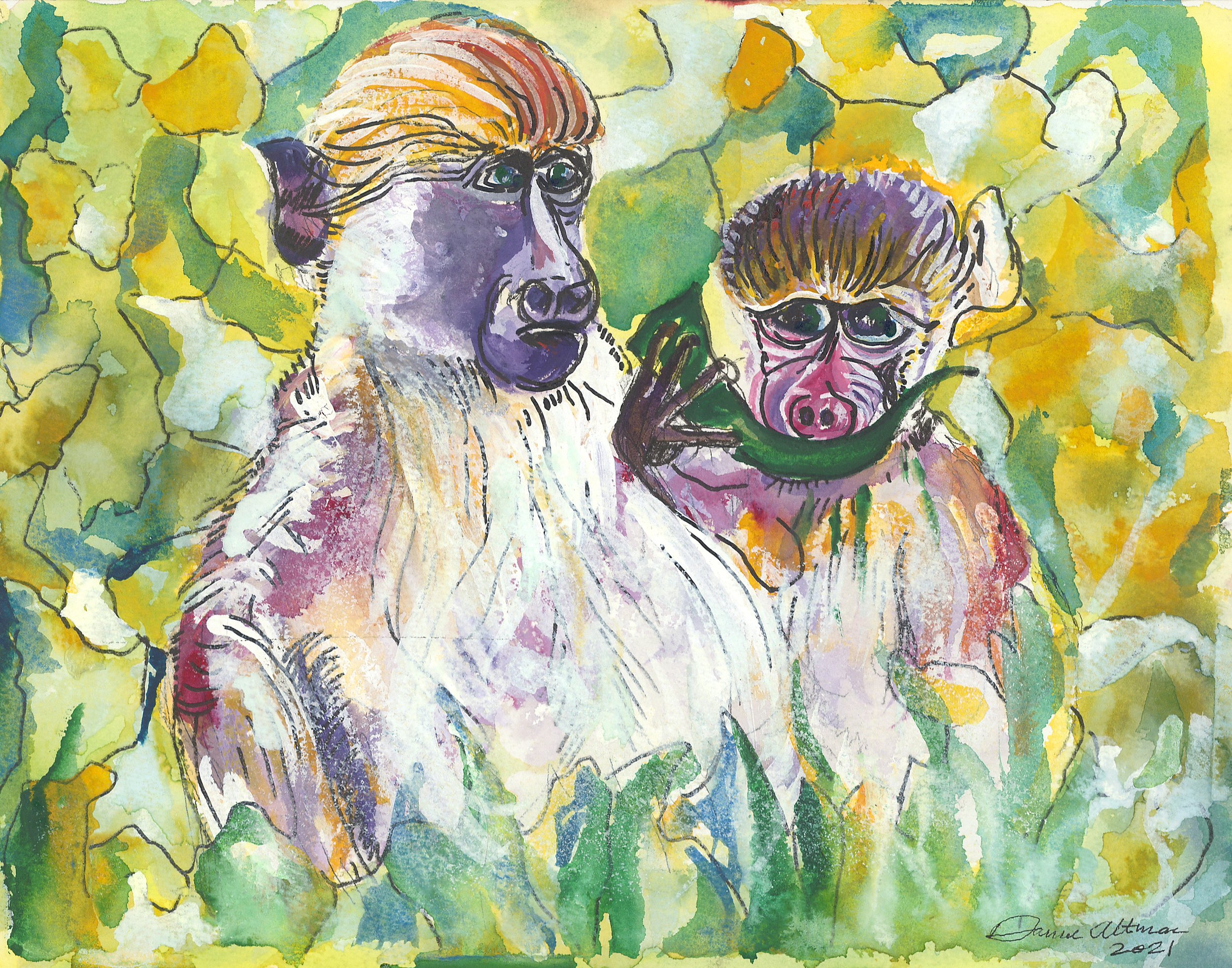 Baboons  available as a print 