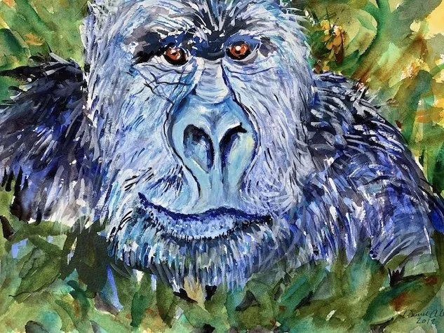 Gorilla