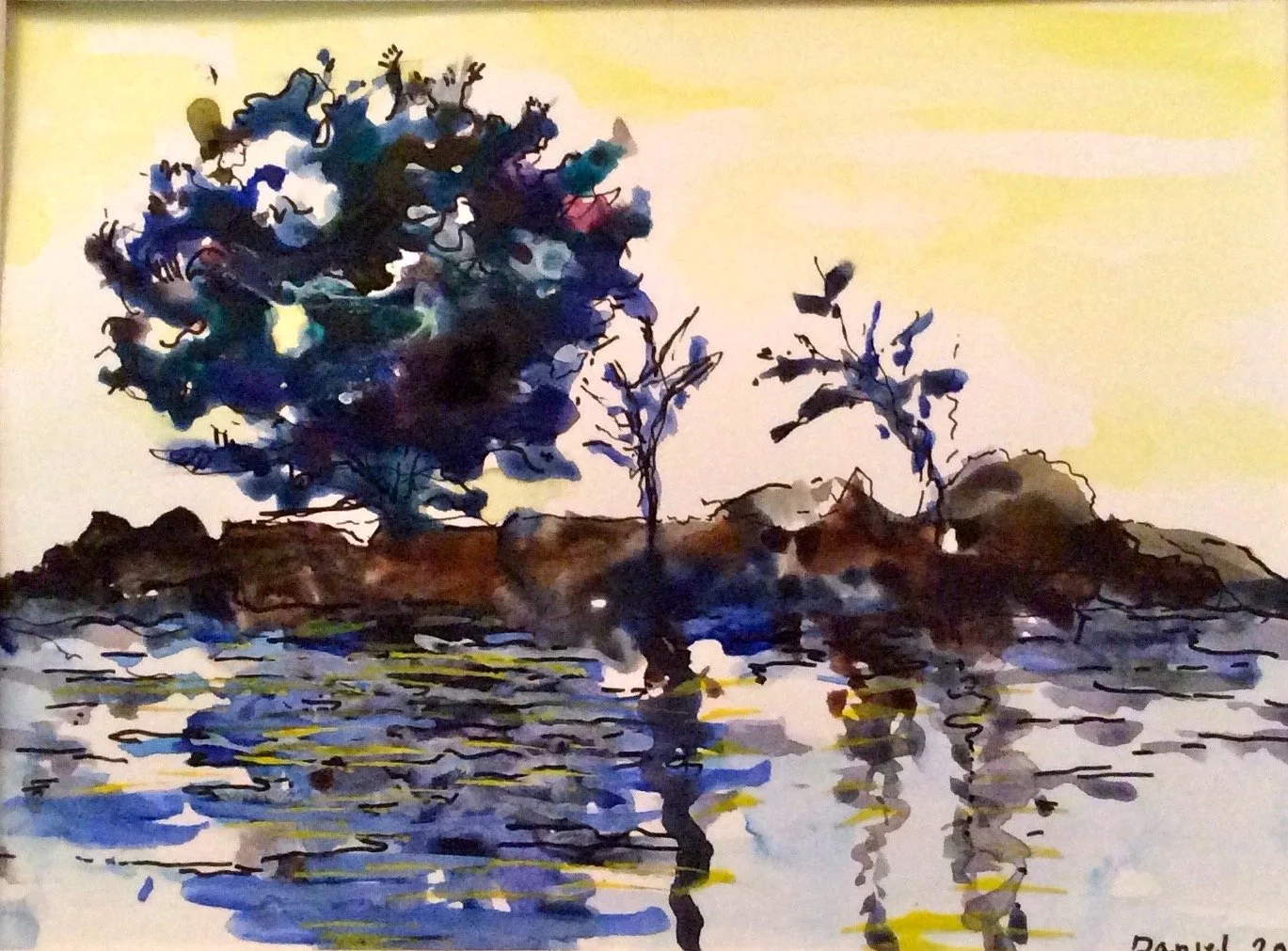 Bodega Bay Tree