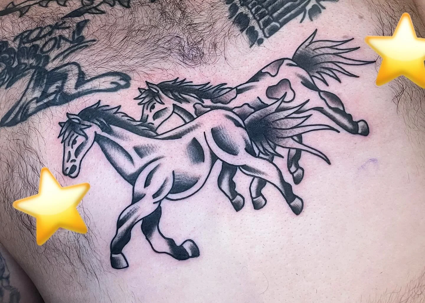 Horses don&rsquo;t stop they keep goin! 🐎