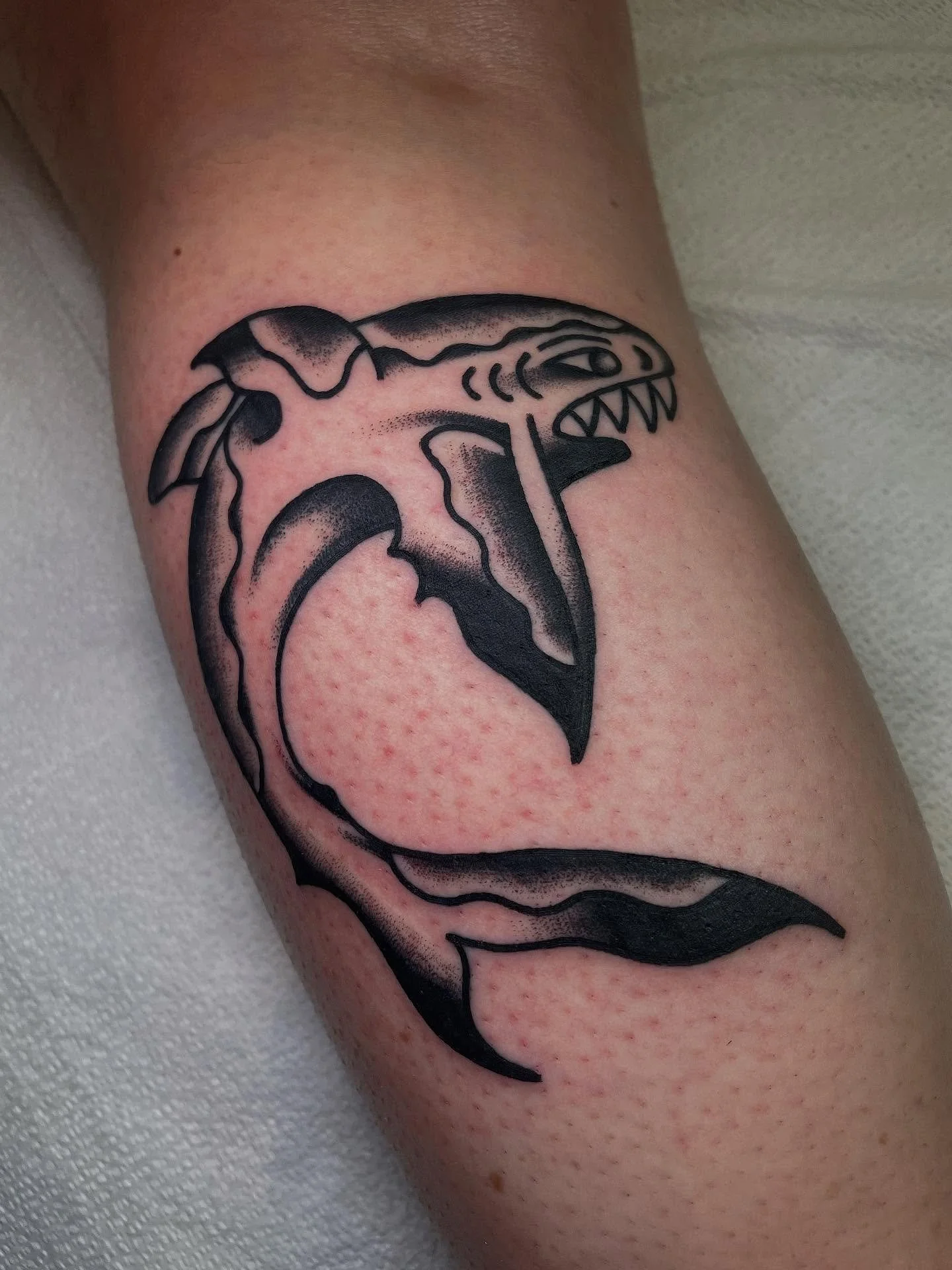 I&rsquo;ve actually never seen Jaws 🦈 Don&rsquo;t judge me 😱