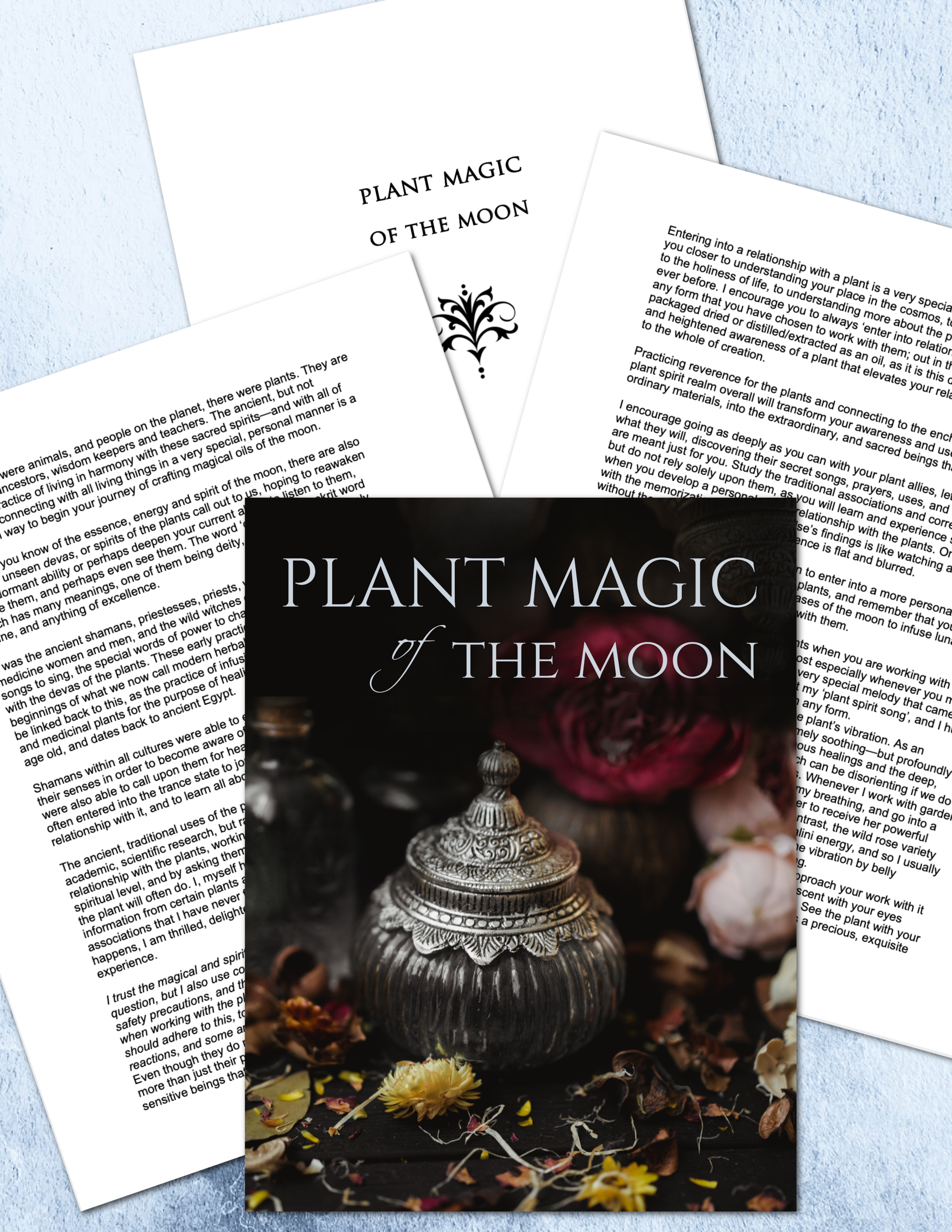 Plant Magic of The Moon Guide Mock Up .png