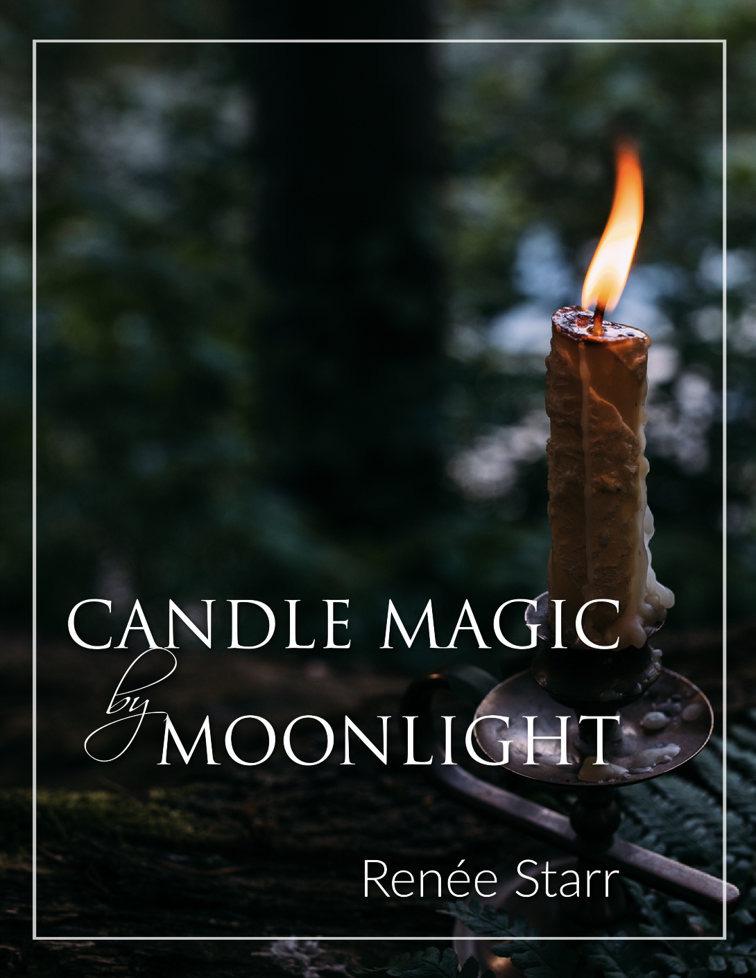 Screenshot 2026-03-01 at 12.13.34 PM.png