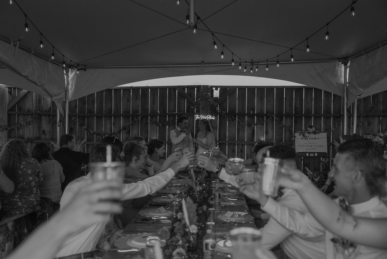 B26A1769-2 Large.png