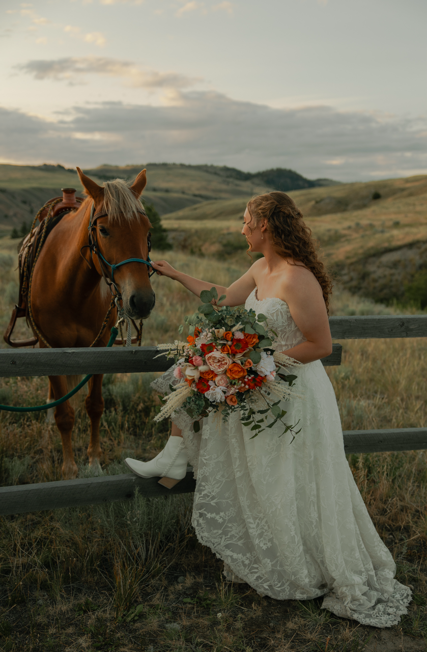 B26A3021 copy Large.png