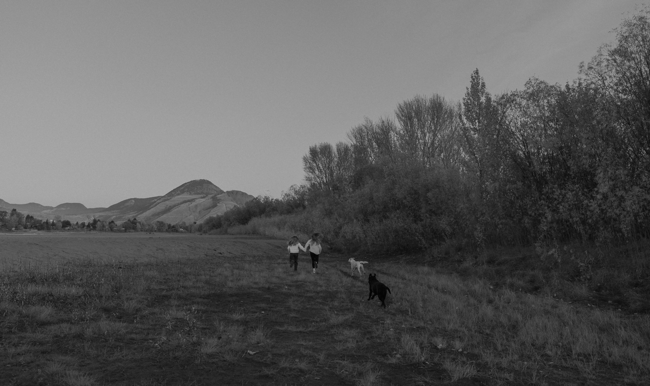 B26A2540 copy Large.png