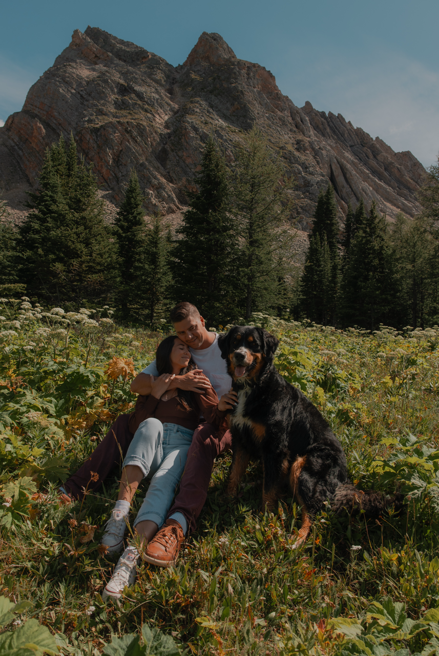 B26A1219 copy Large.png