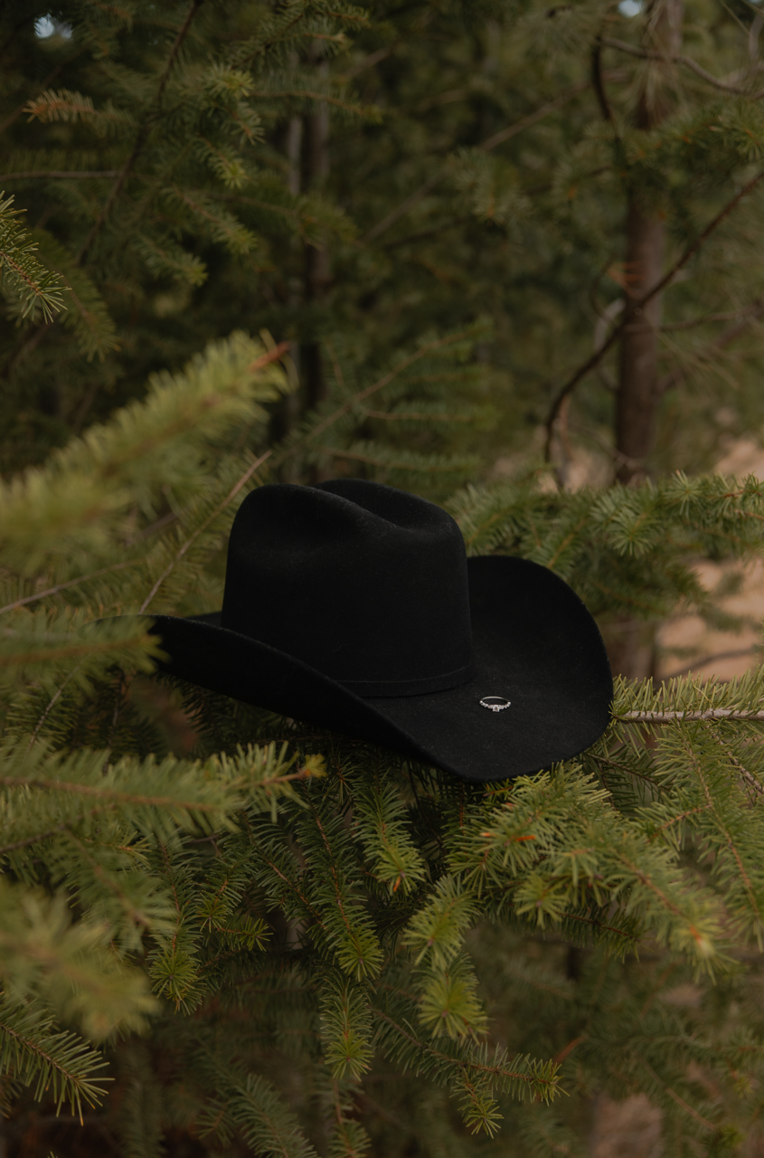 B26A1264 copy Large.png