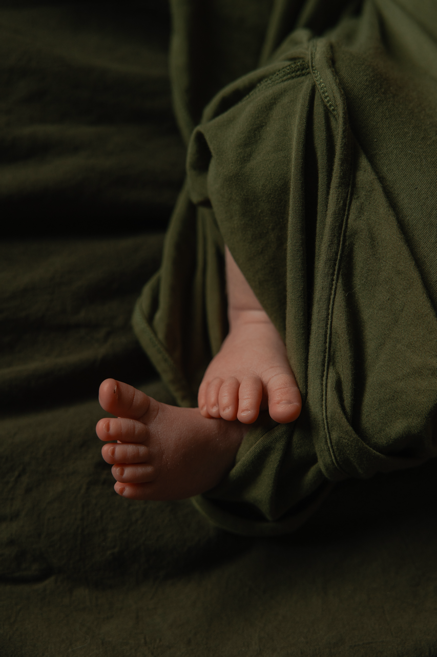 B26A5048 copy Large.png