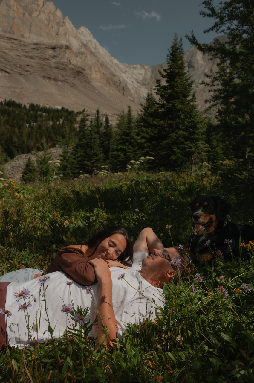 B26A1260 copy Large.png