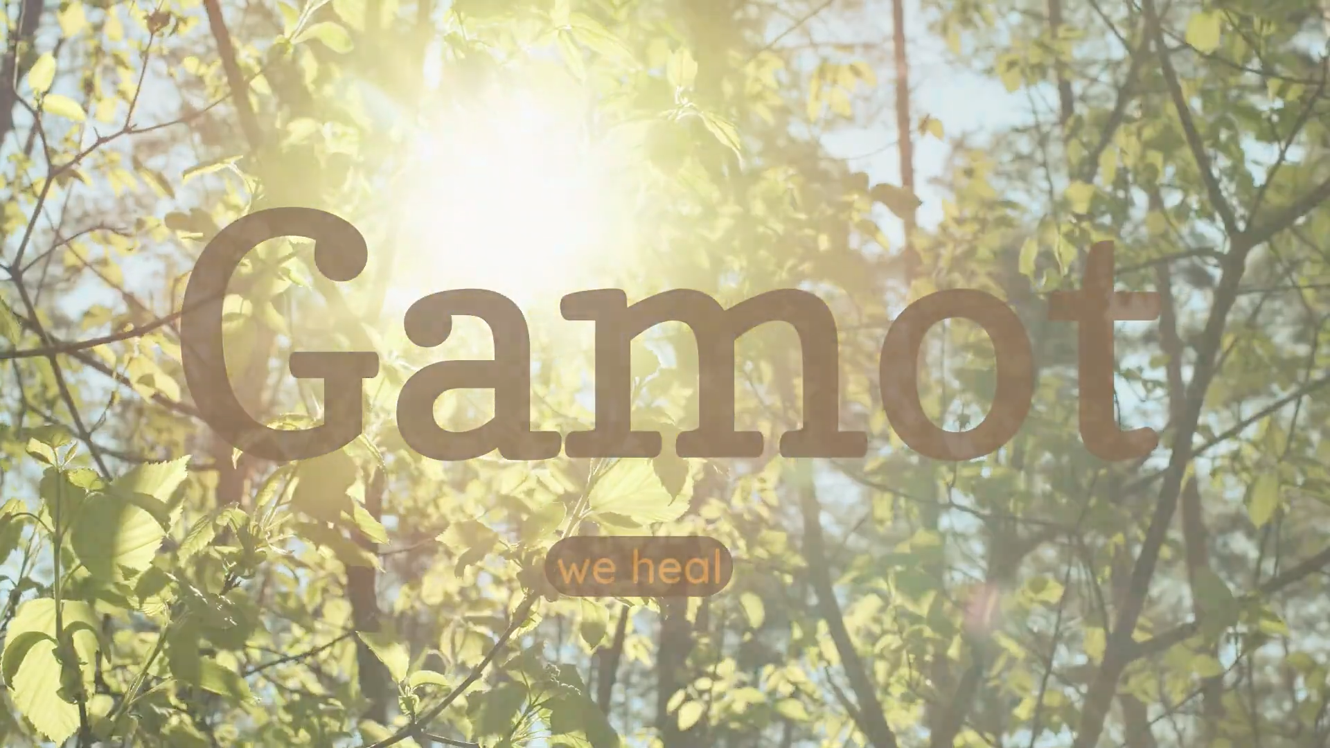 Gamot (we heal)