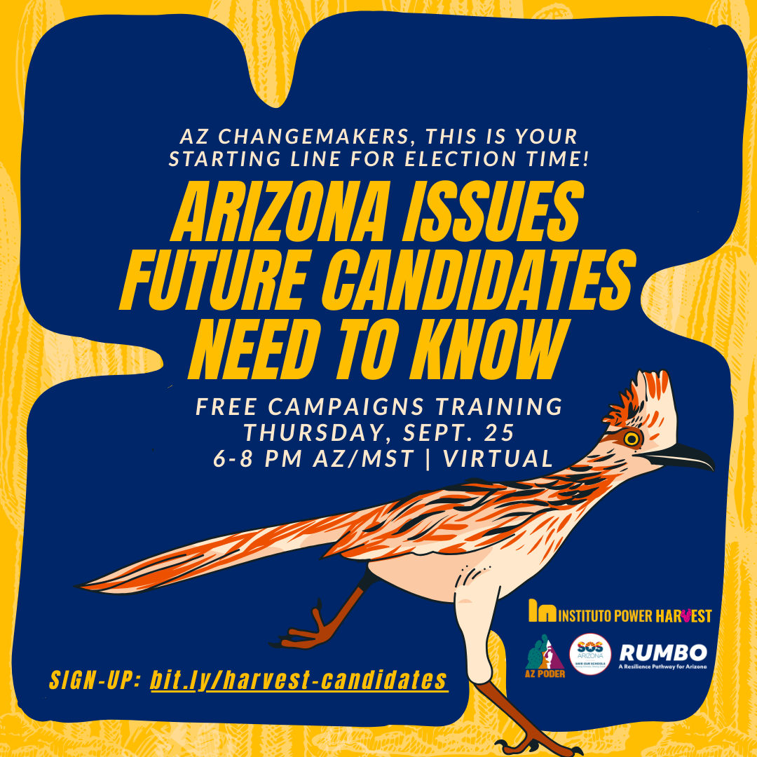 AZ Issues Future Candidates Need to Know