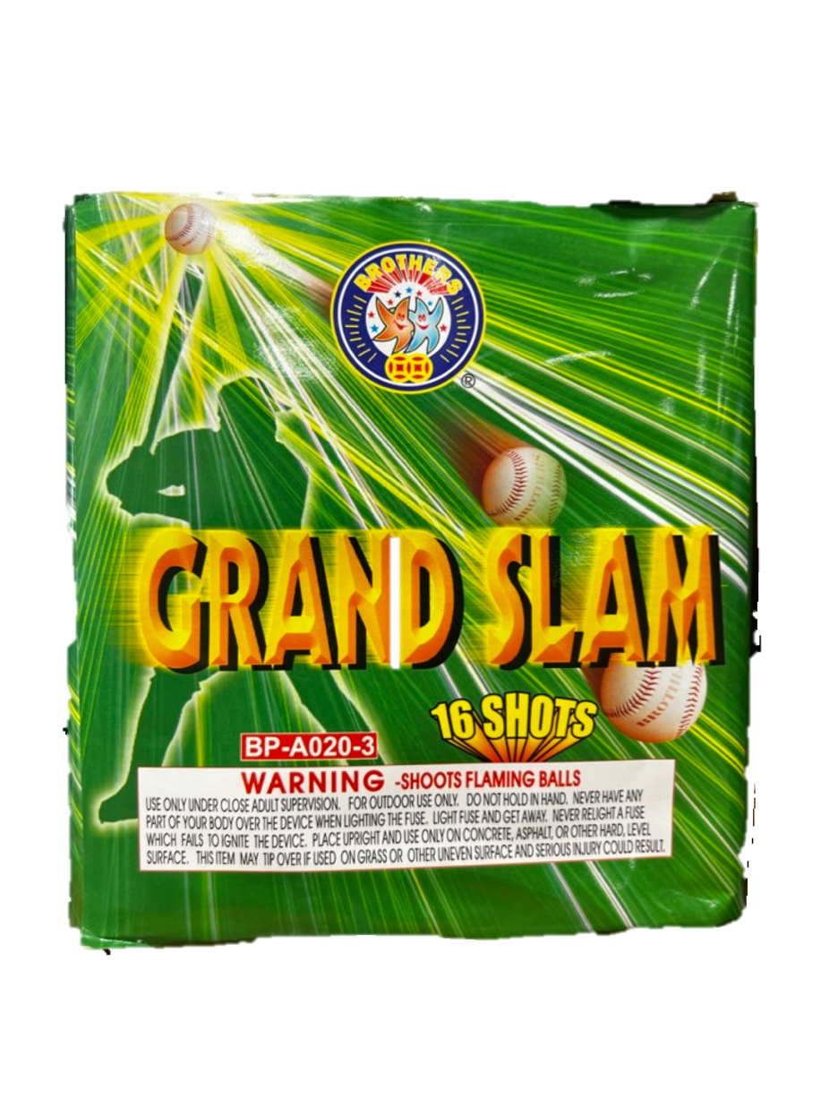 Grand Slam All Star Action-16 shots
