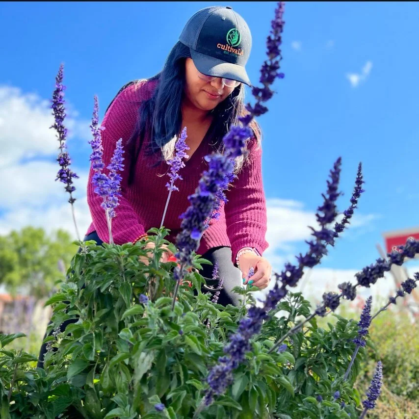 I don&rsquo;t have all the answers, but I do know this: time is a gift, and caring for yourself holistically is something you can begin at any stage of life.

Don&rsquo;t let limited resources dictate your health. Even one small change is a victory i