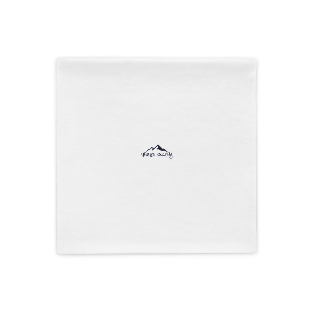 all-over-print-basic-pillow-case-18x18-back-62892013117e1.jpg