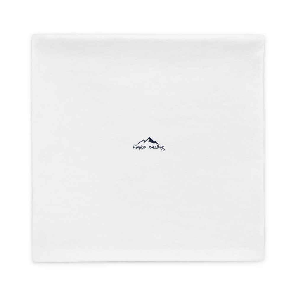 all-over-print-basic-pillow-case-22x22-back-6289201311b0f.jpg