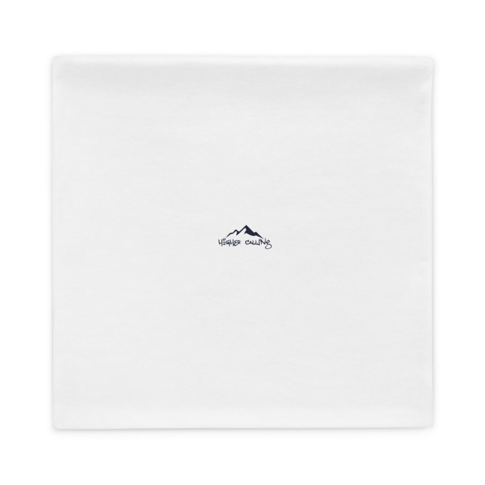 all-over-print-basic-pillow-case-22x22-back-6289206d81b6c.jpg