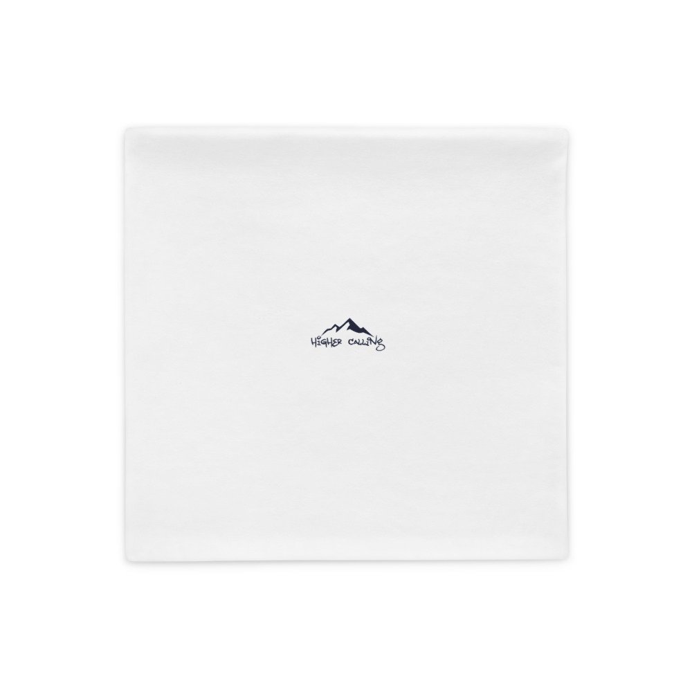 all-over-print-basic-pillow-case-18x18-back-62892085cfb3c.jpg