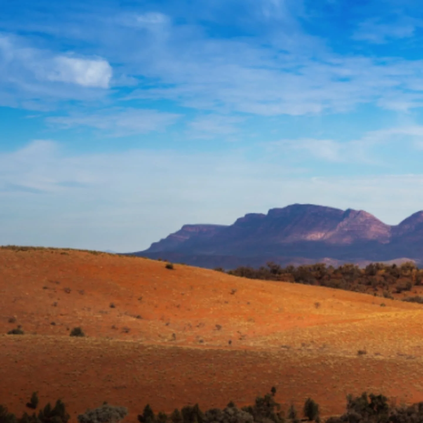 From a recent roadtrip throughout outback South Australia and the Northern Flinders Ranges. There's something about views of the Flinders that is truly special.

📌 Wilpina Pound, June 2025

#flindersranges #wilpinapound #landscapes #photography #sou
