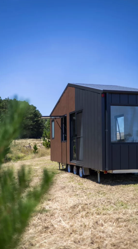 Audrey - Image 4.png