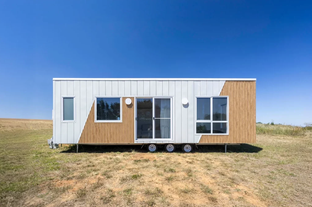 Esther - Image 9.png