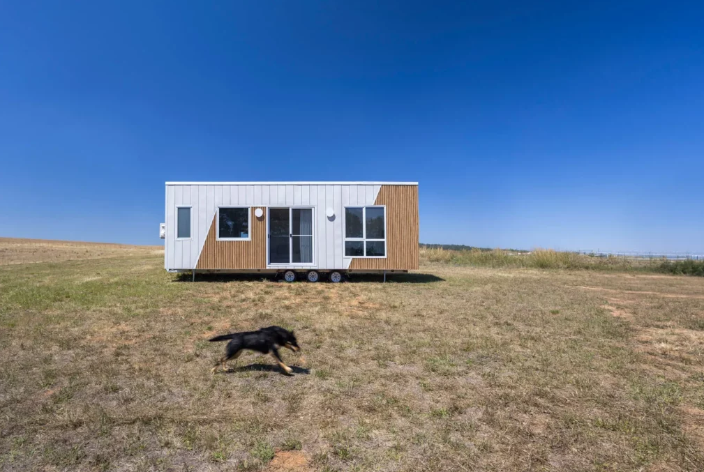 Esther - Image 8.png