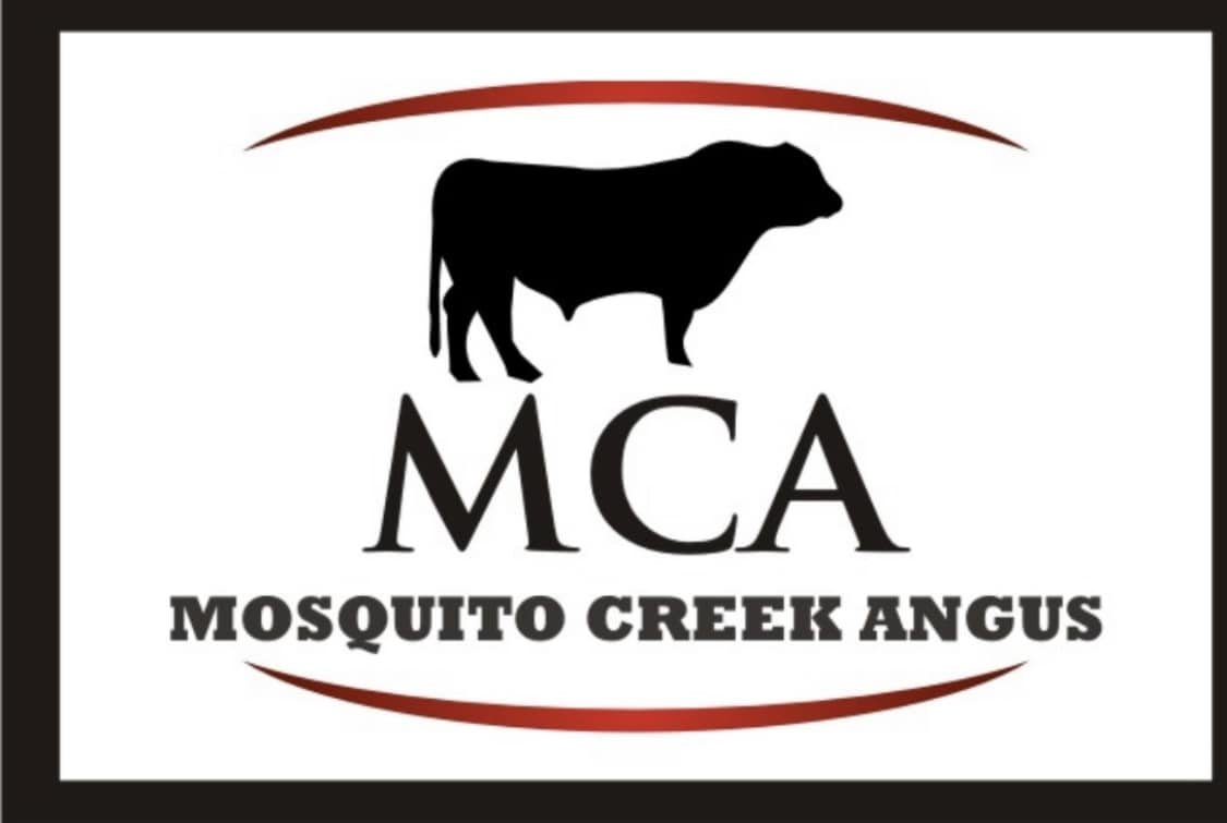 Mosquito Creek Angus.jpg