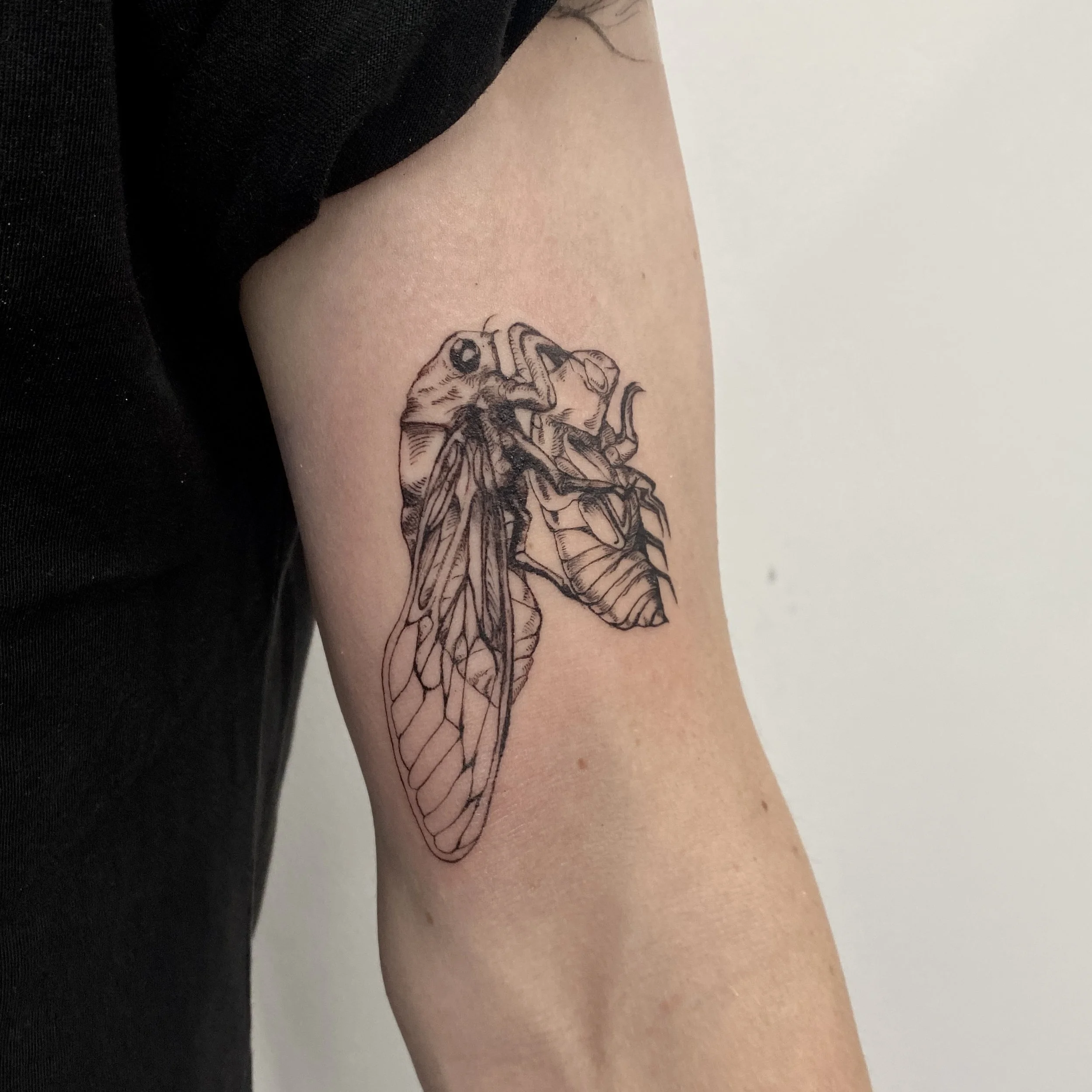 Close-up of a person's arm with a tattoo of a dragonfly on the forearm.