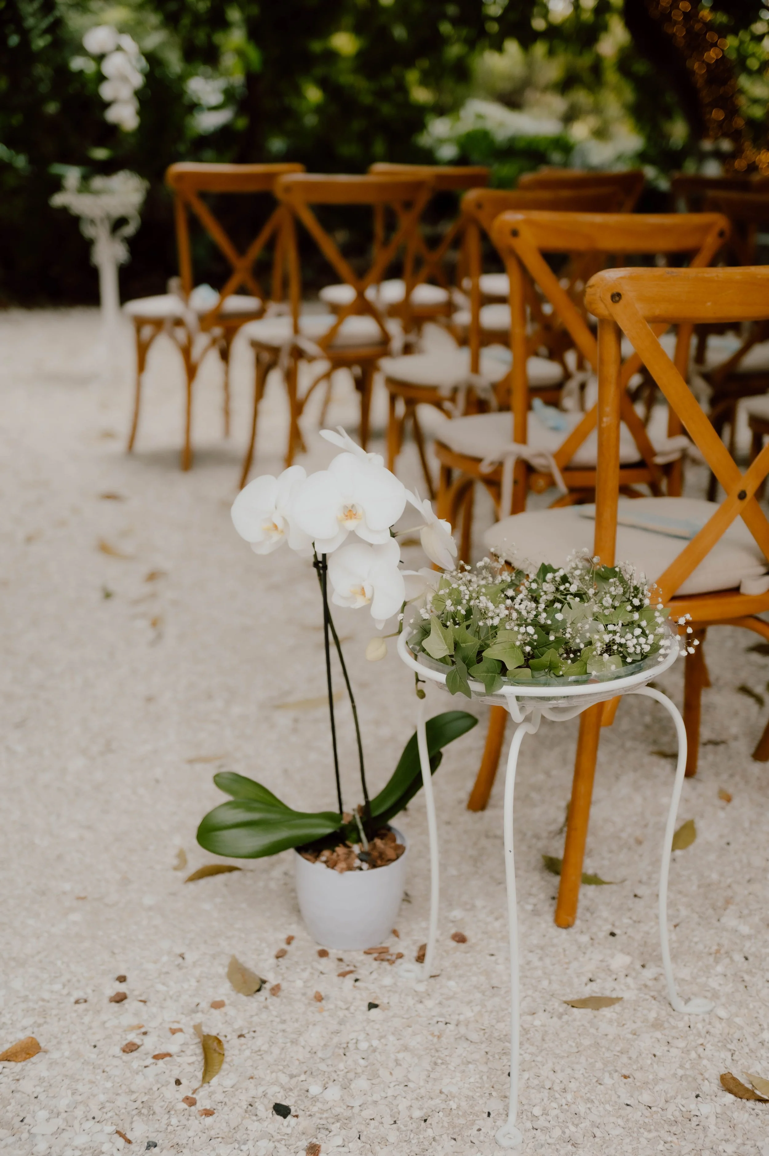 NGPStudio_wedding_00002.jpg
