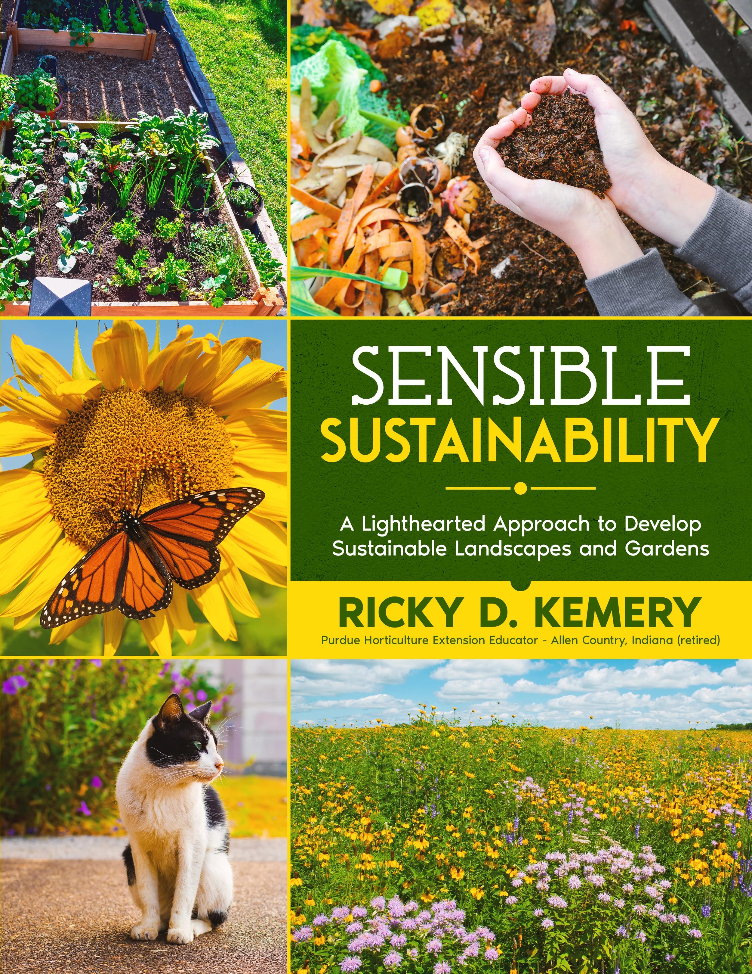 Sensible Sustainability (Non-Fiction)