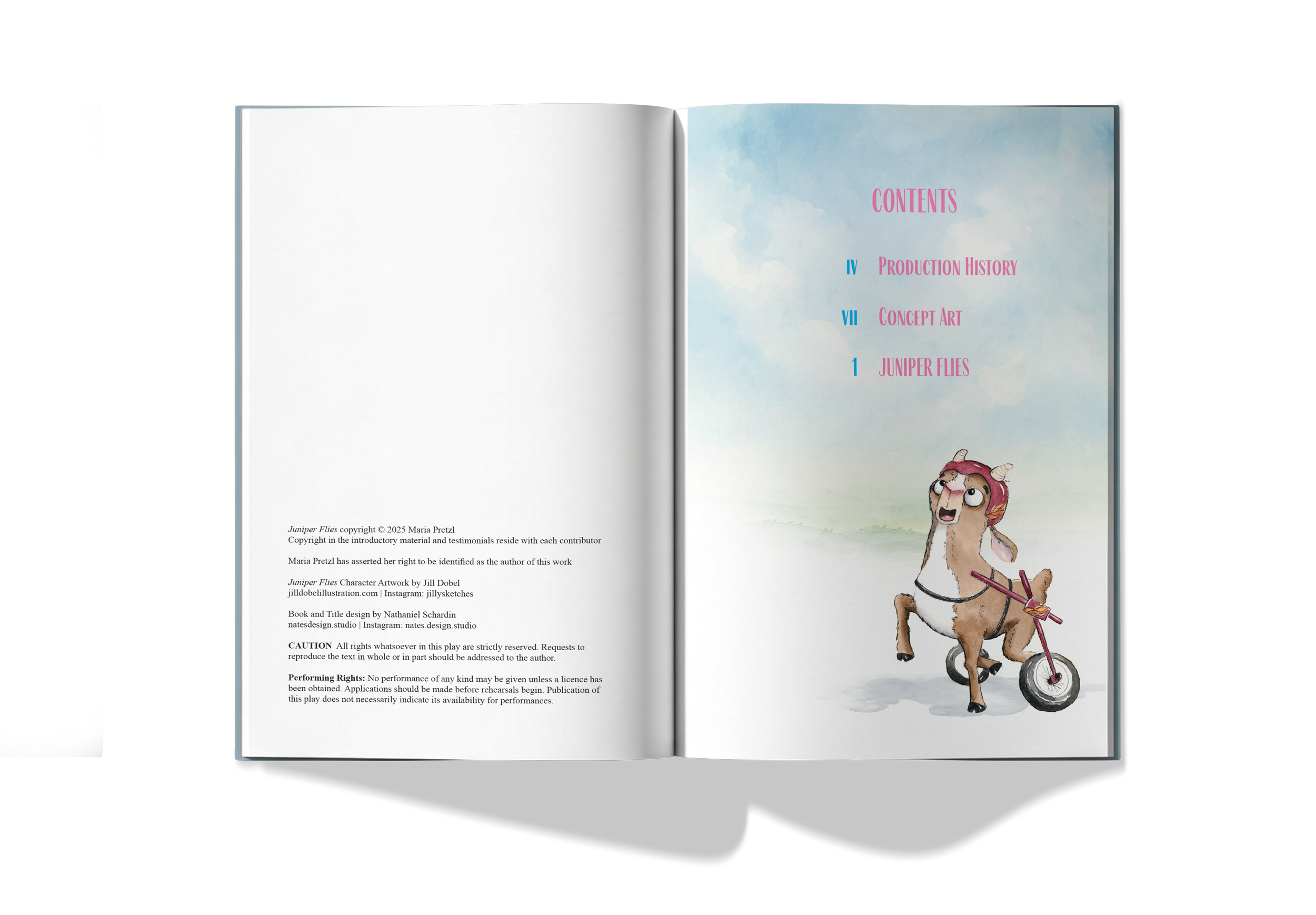 Juniper Interior Mockup_1.png