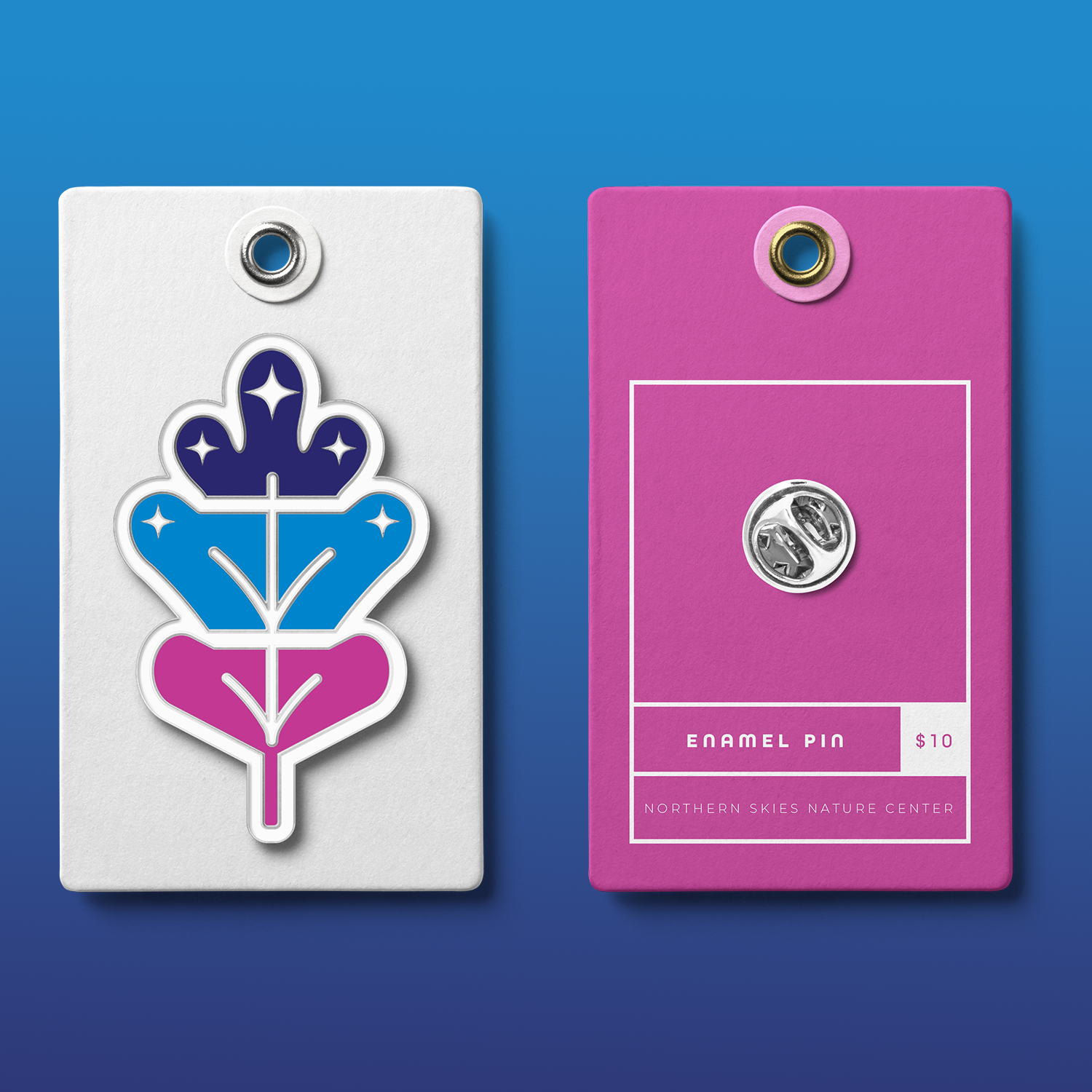 Northern Skies Pin.png