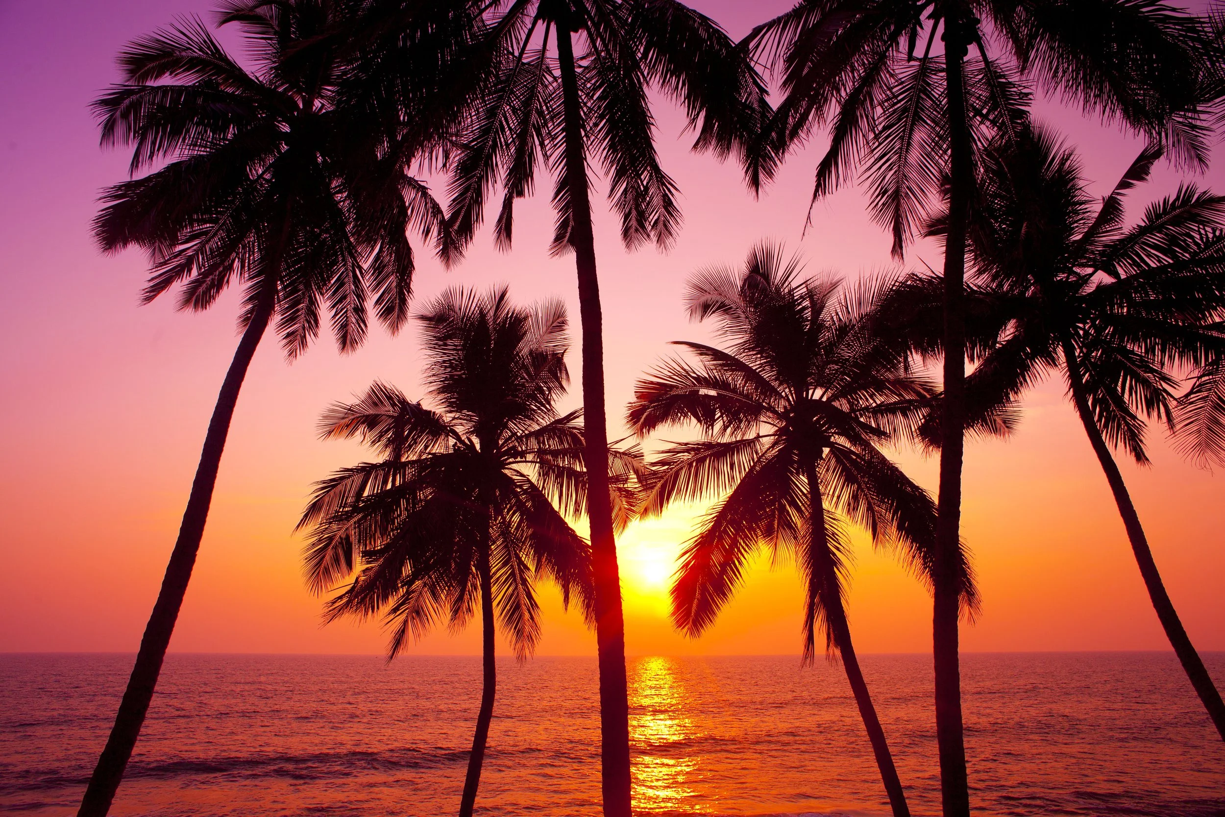 Yoga Retreats — Ty Landrum