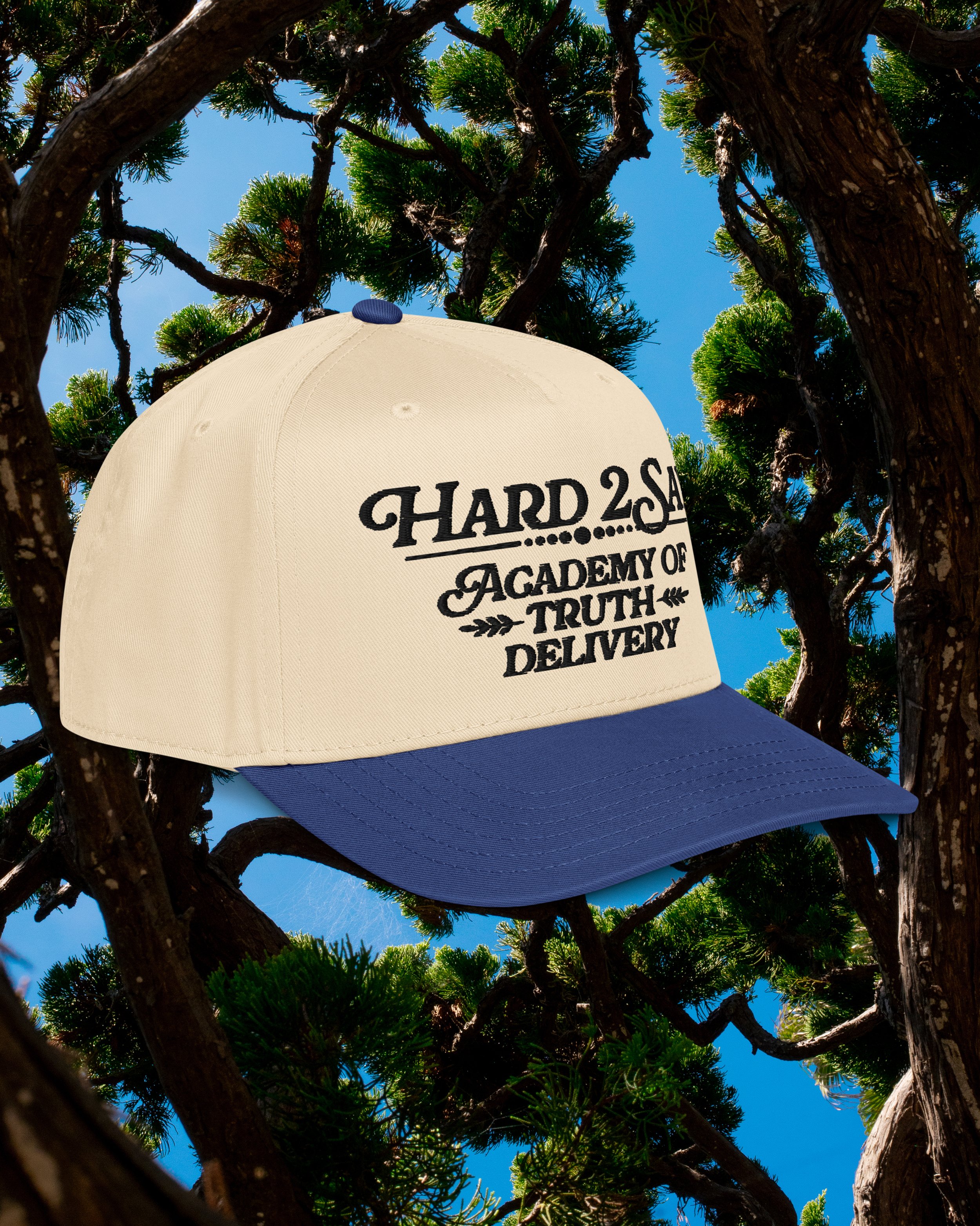 hard 2 hat4.jpg